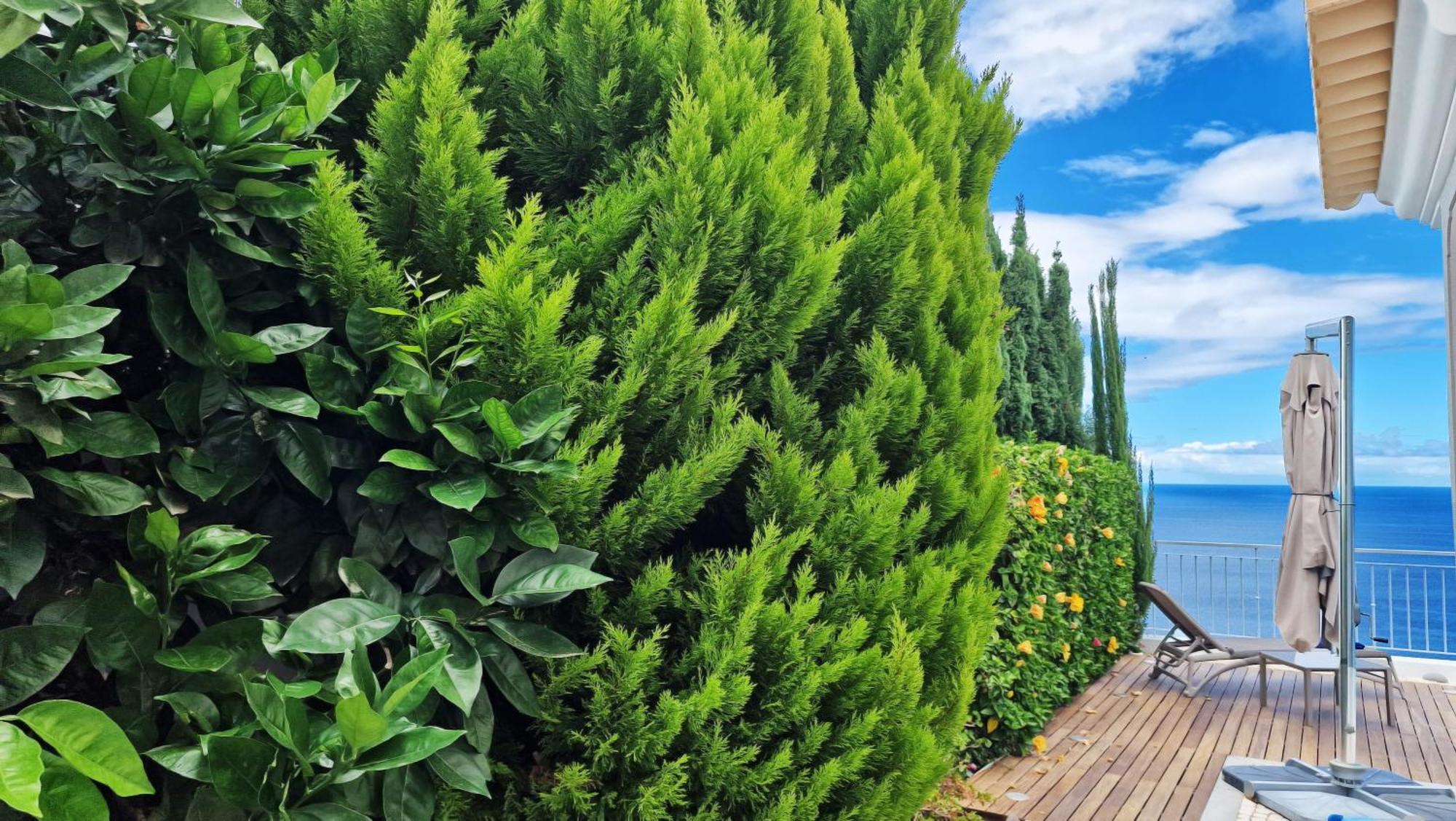 Villa Valentina By Lovelystay Ponta do Sol  Bagian luar foto